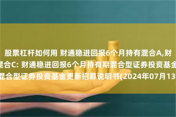 股票杠杆如何用 财通稳进回报6个月持有混合A,财通稳进回报6个月持有混合C: 财通稳进回报6个月持有期混合型证券投资基金更新招募说明书(2024年07月13日公告)