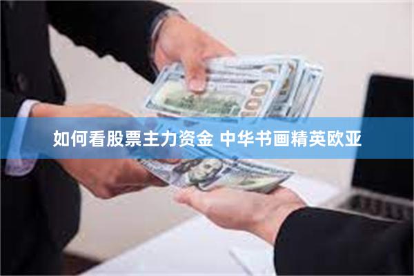 如何看股票主力资金 中华书画精英欧亚