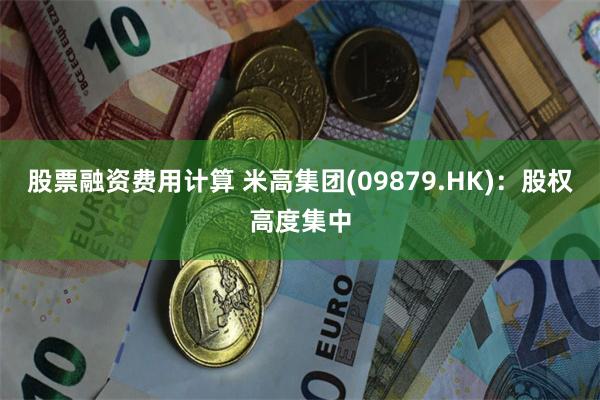 股票融资费用计算 米高集团(09879.HK)：股权高度集中