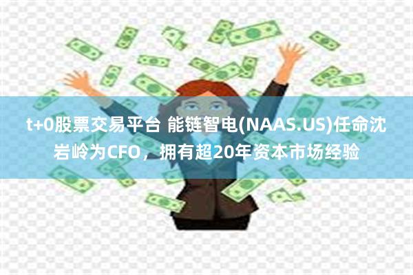 t+0股票交易平台 能链智电(NAAS.US)任命沈岩岭为CFO，拥有超20年资本市场经验