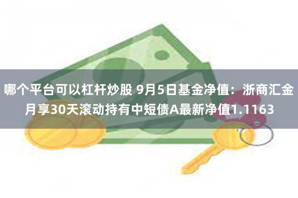 哪个平台可以杠杆炒股 9月5日基金净值：浙商汇金月享30天滚动持有中短债A最新净值1.1163