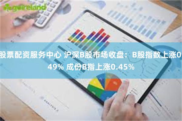 股票配资服务中心 沪深B股市场收盘：B股指数上涨0.49% 成份B指上涨0.45%