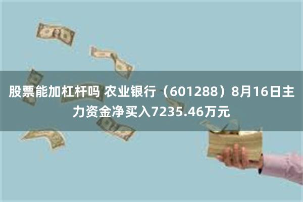 股票能加杠杆吗 农业银行（601288）8月16日主力资金净买入7235.46万元