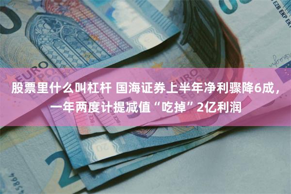 股票里什么叫杠杆 国海证券上半年净利骤降6成，一年两度计提减值“吃掉”2亿利润