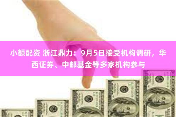 小额配资 浙江鼎力：9月5日接受机构调研，华西证券、中邮基金等多家机构参与