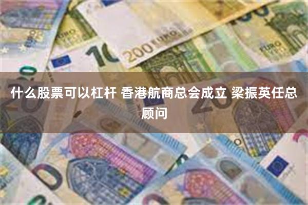 什么股票可以杠杆 香港航商总会成立 梁振英任总顾问