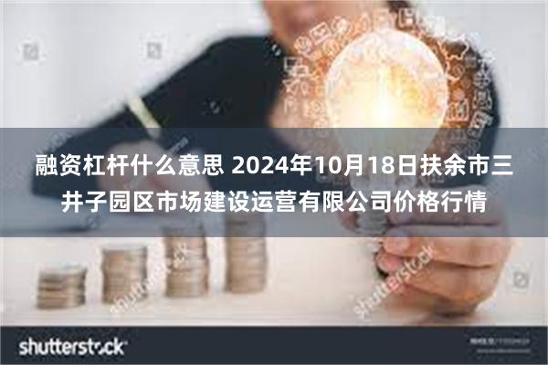 融资杠杆什么意思 2024年10月18日扶余市三井子园区市场建设运营有限公司价格行情