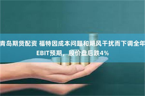 青岛期货配资 福特因成本问题和飓风干扰而下调全年EBIT预期，股价盘后跌4%