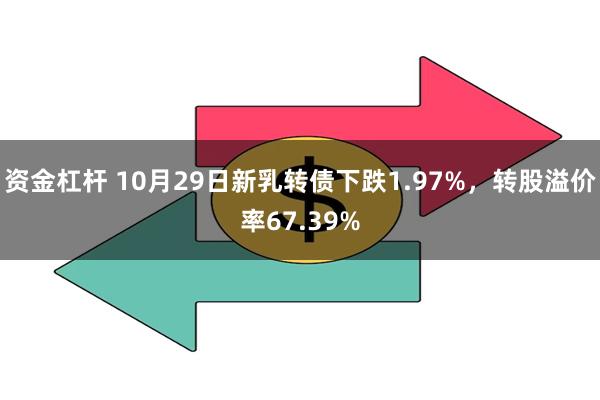 资金杠杆 10月29日新乳转债下跌1.97%，转股溢价率67.39%