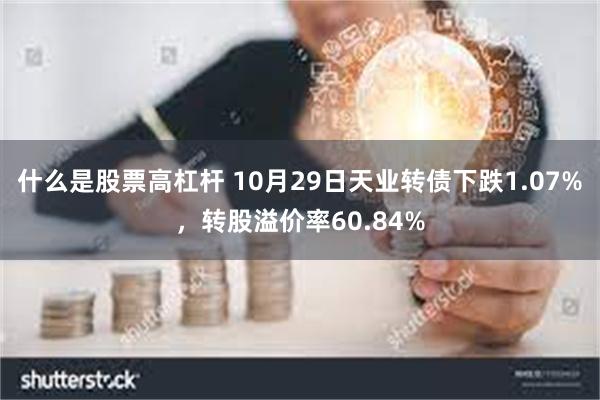 什么是股票高杠杆 10月29日天业转债下跌1.07%，转股溢价率60.84%