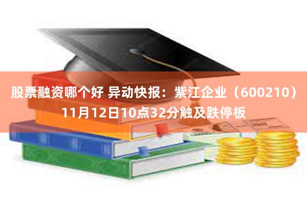 股票融资哪个好 异动快报：紫江企业（600210）11月12日10点32分触及跌停板