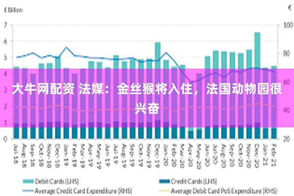 大牛网配资 法媒：金丝猴将入住，法国动物园很兴奋