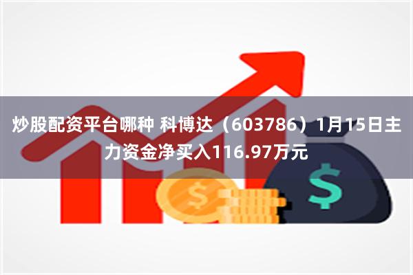 炒股配资平台哪种 科博达（603786）1月15日主力资金净买入116.97万元