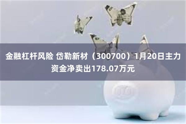 金融杠杆风险 岱勒新材（300700）1月20日主力资金净卖出178.07万元