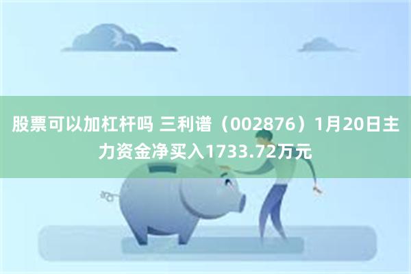 股票可以加杠杆吗 三利谱（002876）1月20日主力资金净买入1733.72万元